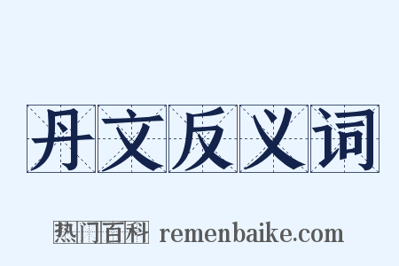 丹文反义词是什么意思的图片